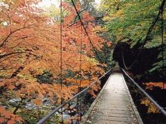 大平渓谷の紅葉の写真1