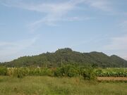 金山城址の写真2