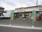 おおひら野菜市の写真1