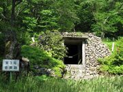 長走風穴高山植物群落の写真3