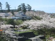 本荘公園の桜の写真1