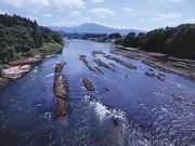 最上川三難所舟くだりの写真2