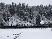 旧柏倉家住宅の写真3