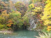 小松淵の紅葉の写真1