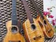 officeT ukulele studioの写真2