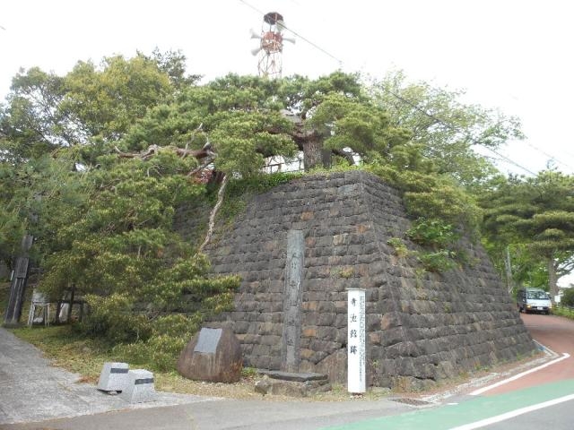 寺池城跡の松の写真1