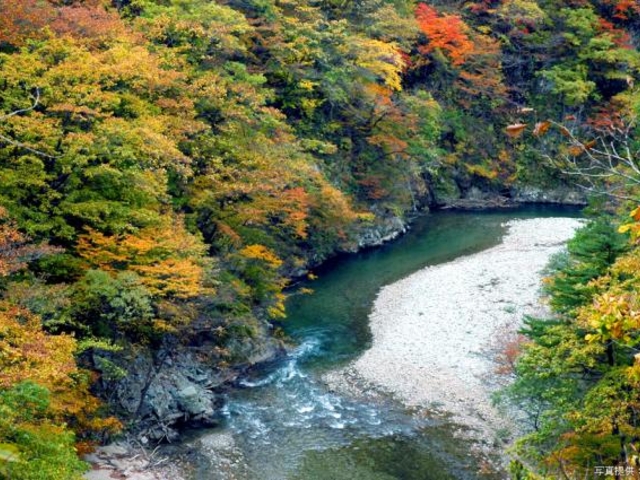 野川渓谷の写真1