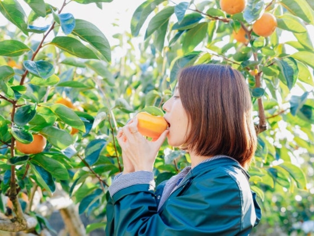 かすみがうら市千代田地区観光果樹園