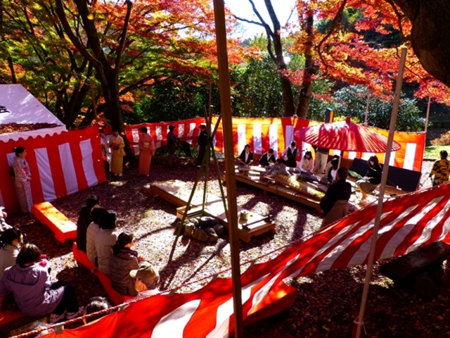 御殿山公園の紅葉