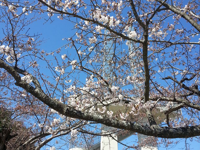 三石山観音寺