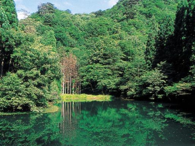 蟹淵の写真1