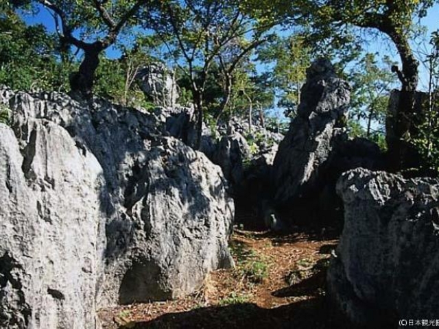金生山岩巣公園_金生山岩巣公園