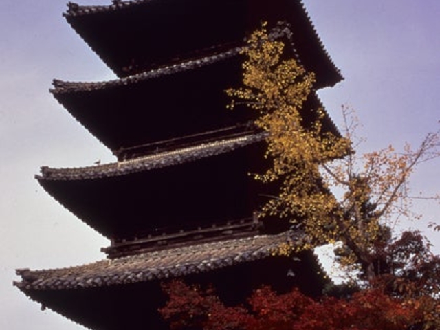 興正寺の紅葉の写真1