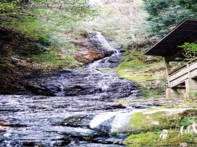 白綾の滝の写真1