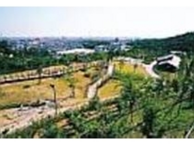 ユニークな遊具が点在する「子供の広場」_垂坂公園・羽津山緑地