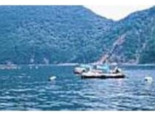 海上に浮かぶ筏は全部で12基ある_錦漁協釣マ専科