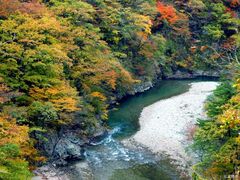 野川渓谷の写真1