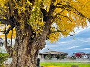 長崎楯跡の写真1