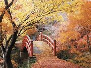 月見橋の写真1