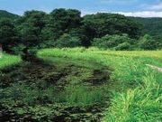 阿原ケ池の写真1