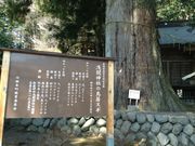 徳山の浅間神社の鳥居杉(夫婦杉)の写真3