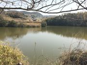 北淡自然休養村センターの写真2