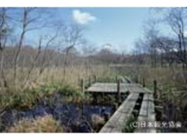 荒沢の湿原の写真1