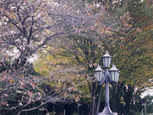 広瀬川河畔緑地_広瀬川河畔緑地