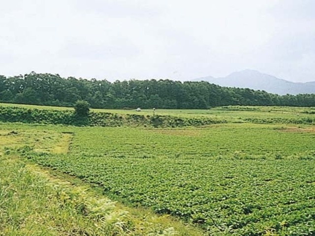 広留野高原_広留野高原