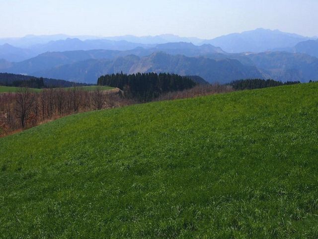 五馬高原