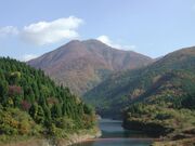 水沢山ブナの森の写真2