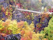 瀬戸合峡の紅葉の写真1
