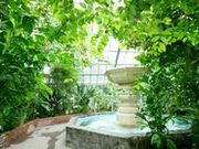 箱根強羅公園の写真2