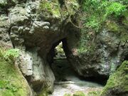 城井ノ上城址の写真2