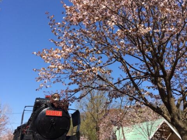 桜山公園