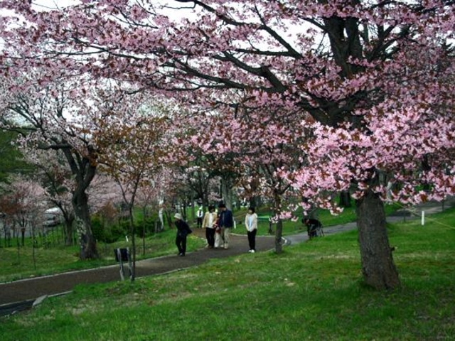 桜山公園
