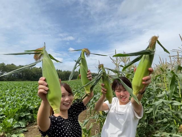 柴田農園