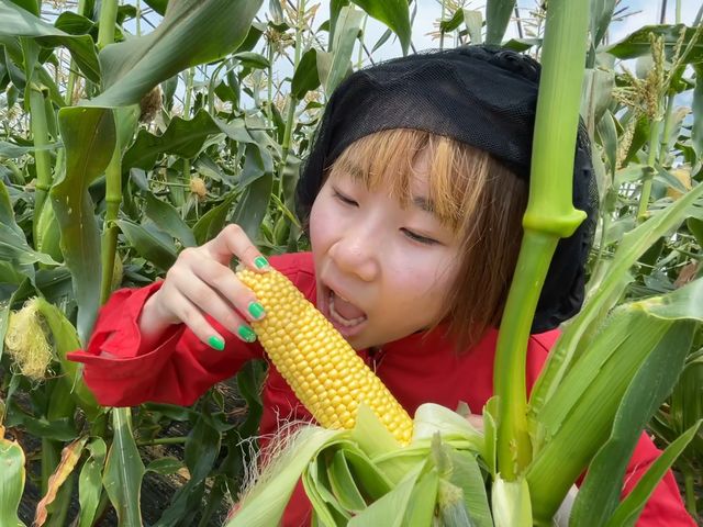 柴田農園