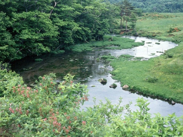 グダリ沼