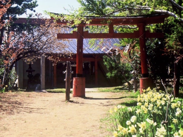 尾崎神社の写真1