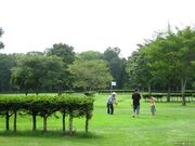 どんぐり公園プラムカントリーの写真2