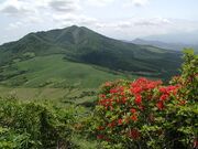 田代平高原の写真1
