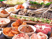 野毛 大夢の写真1