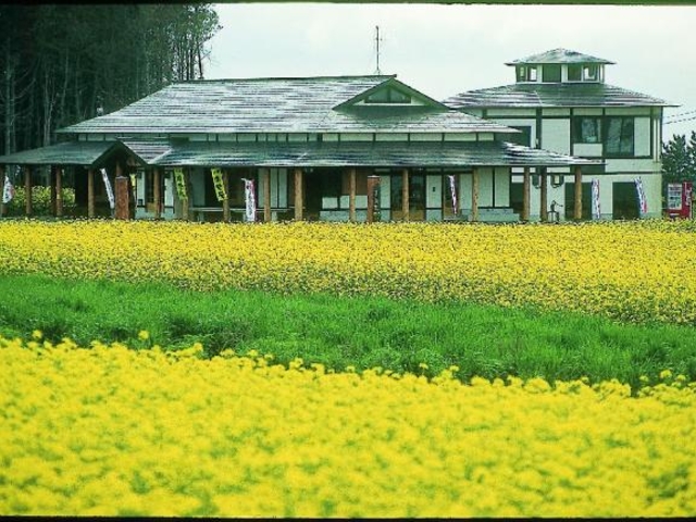 自然体験ランド自然苑の写真1