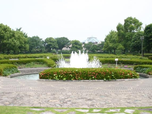テクノ中央緑地_テクノ中央緑地公園