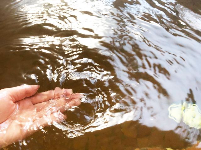 天然の湯 自由ヶ丘温泉