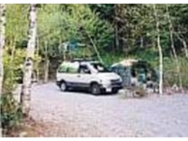 白樺や、緑が映えるキャンプサイト_ACN信州赤倉の森オートキャンプ場
