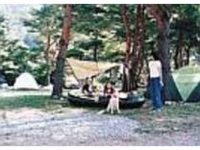 大切な家族「犬」といっしょにキャンプ生活_キャンピングリゾートWAN