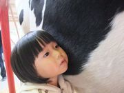 渡辺体験牧場の写真3