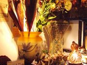 ソルティーモード soaltee modeの写真1